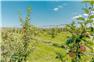42 Acres with Apple Orchard in Grimsby for Sale
