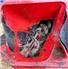 Case IH 600 Forage Blower for Sale