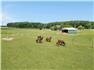 Pristine 100 -Acre Equestrian Estate Near Ottawa for Sale