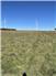 Pasture and care available in Eastern KS for calves for Sale