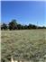 Pasture and care available in Eastern KS for calves for Sale