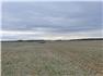 50 acres at 10,000 per acre for Sale