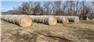 Mixed Grass Hay -large round bales - $60 for Sale