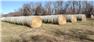 Mixed Grass Hay -large round bales - $60 for Sale