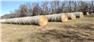 Mixed Grass Hay -large round bales - $60 for Sale