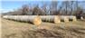 Mixed Grass Hay -large round bales - $60 for Sale