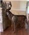 Wanted NEEDED: Farm scrap for Fine Art Sculptures