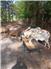 8 goats for Sale