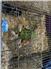Purebred Flemish Giants and Meat Rabbits for Sale