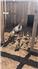 Baby Turkeys - Healthy Poults Ready for Your Farm for Sale