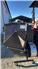 Terra King TKV20 Material Collection System for Sale