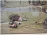 Farm  for Sale
