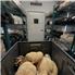 Turnkey Mushroom Farm. Automated, Climate-Controlled Container. for Sale