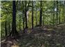 Southeastern Ohio Farm  for Sale