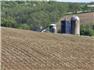 Amazing picturesque farm wth a lot of potential for Sale