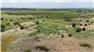 60 acres pasture near Cyril OK — agent listed $237,500 for Sale