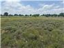 60 acres pasture near Cyril OK — agent listed $237,500 for Sale