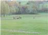 6 acres of grassland for Sale