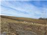 Rare Heirloom Farm Estate for Sale
