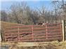 Rare Heirloom Farm Estate for Sale