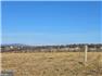 Rare Heirloom Farm Estate for Sale