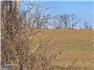 Rare Heirloom Farm Estate for Sale