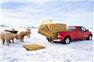 POWER RACK BALE FEEDER for Sale
